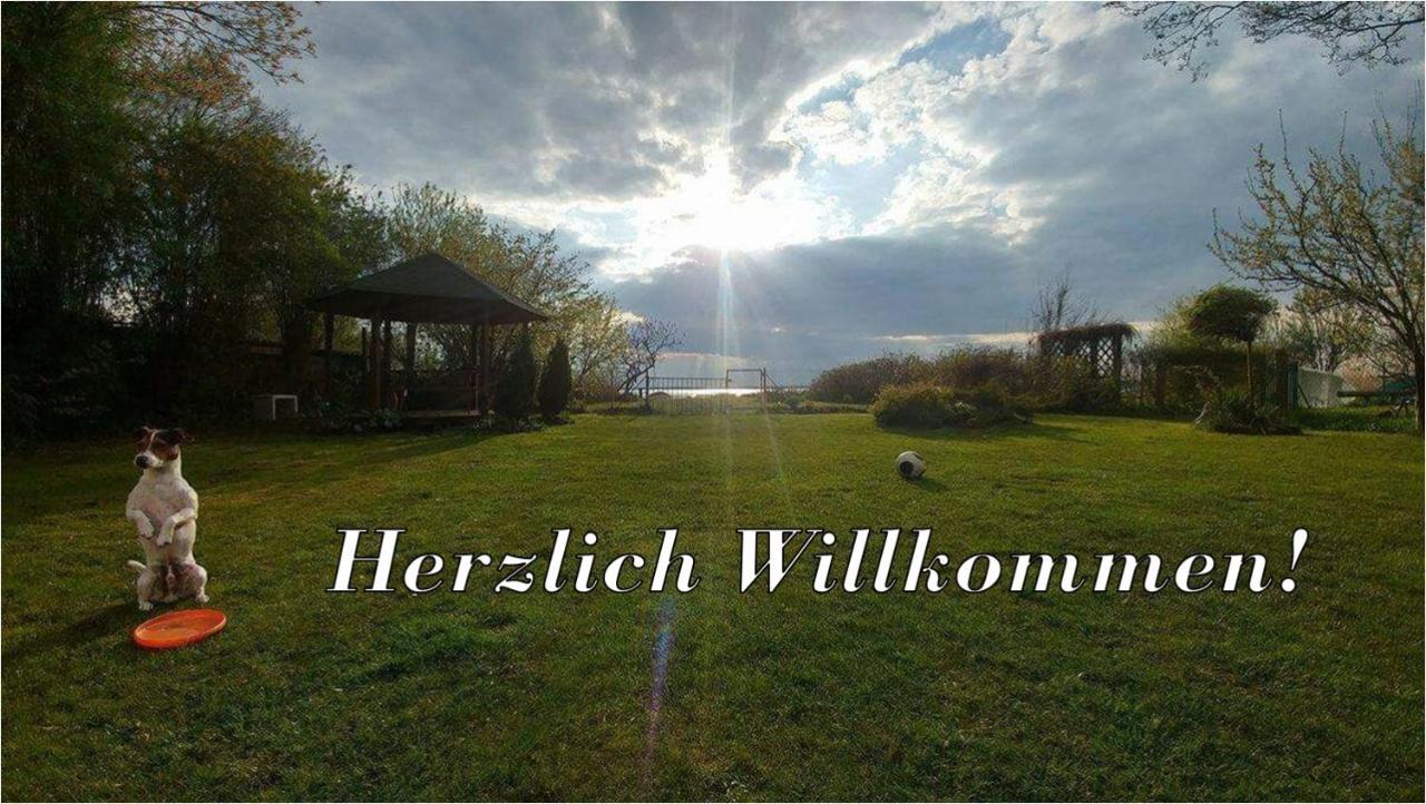 Villa Beata Nowe Warpno Exterior photo